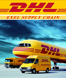 Safe and fast DHL international express
